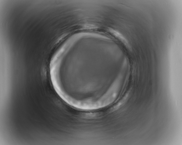 X0000103251401200809181555