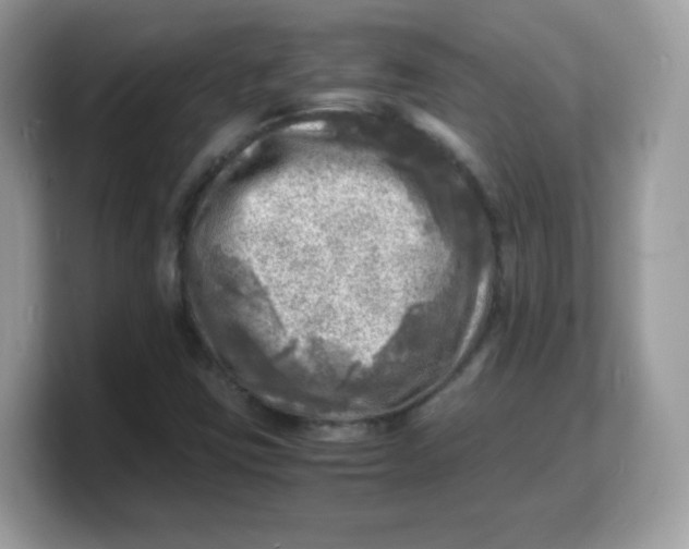 X0000103251403200809181555