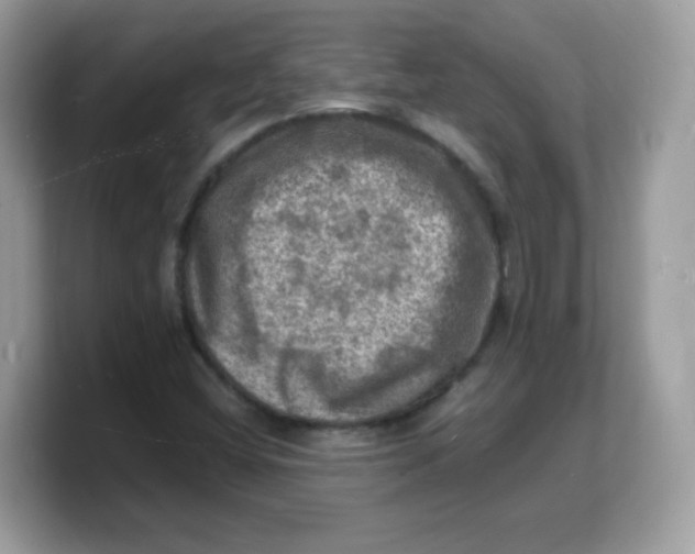 X0000103251404200809181555