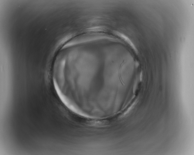 X0000103251405200809181555