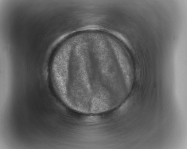 X0000103251406200809181555