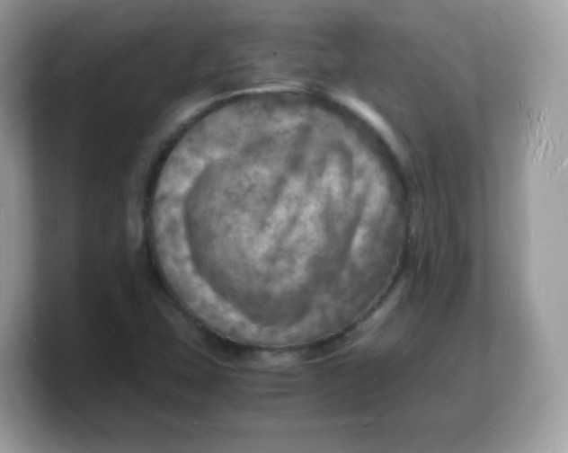 X0000103251407200809181555