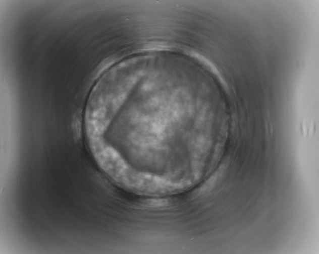 X0000103251409200809181555