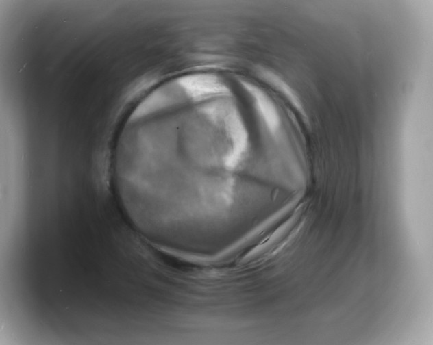 X0000103251411200809181555