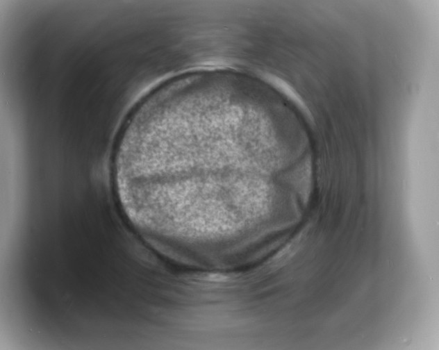 X0000103251412200809181555
