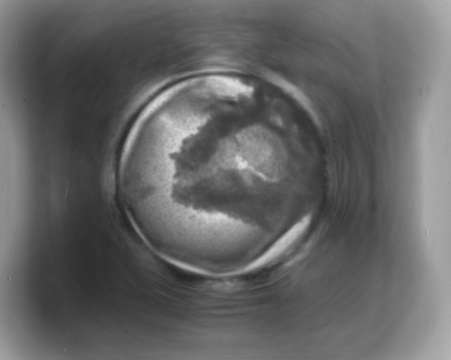 X0000103251415200809181555