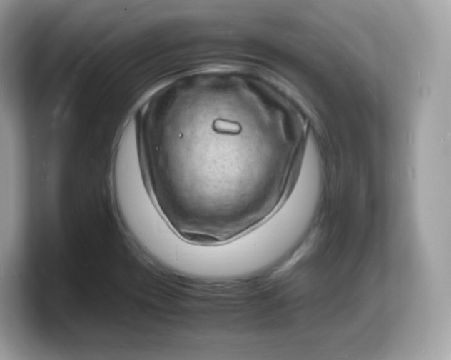 X0000103251417200809181555