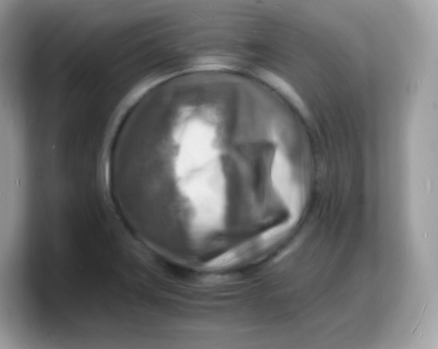 X0000103251419200809181555