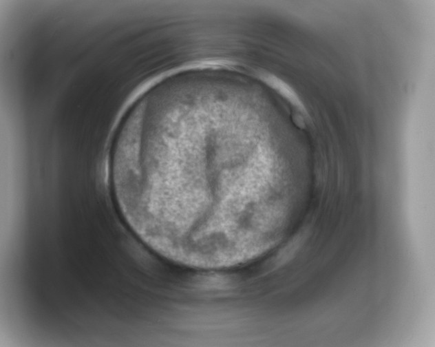 X0000103251420200809181555