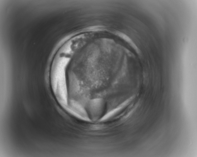 X0000103251421200809181555
