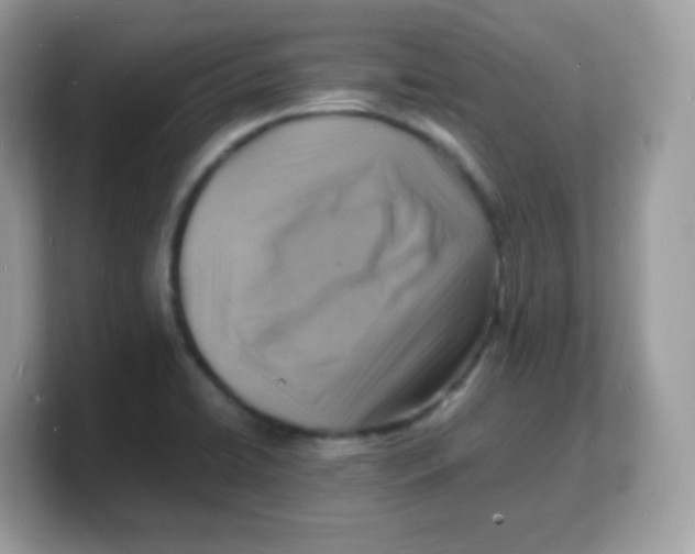 X0000103251422200809181555