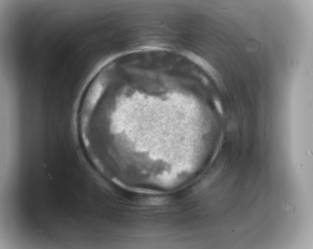 X0000103251423200809181555