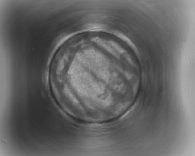 X0000103251424200809181555