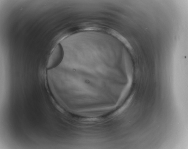 X0000103251425200809181555