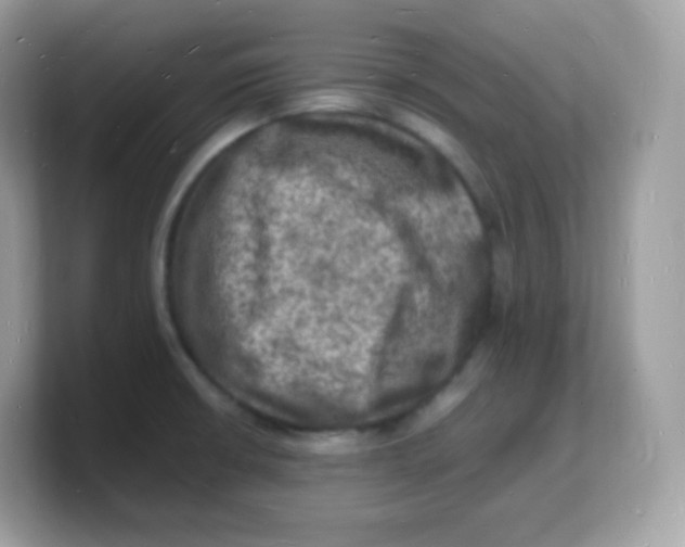 X0000103251426200809181555