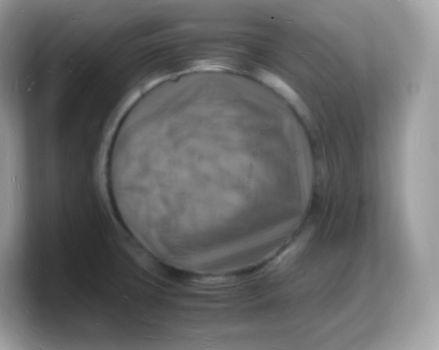 X0000103251427200809181555