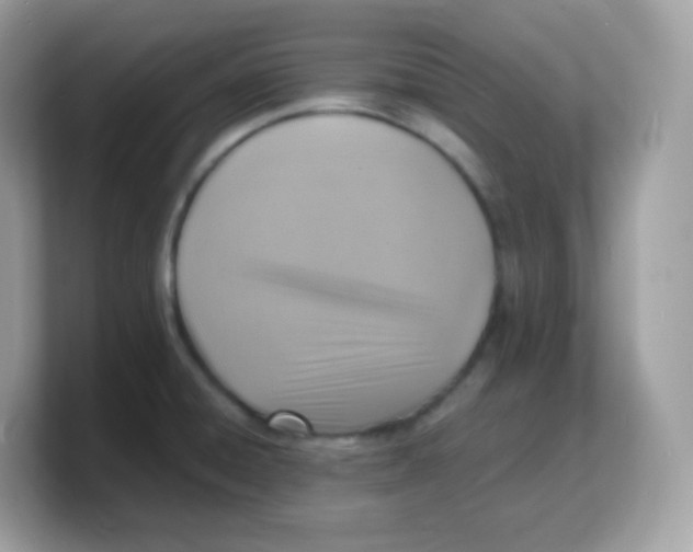 X0000103251428200809181555
