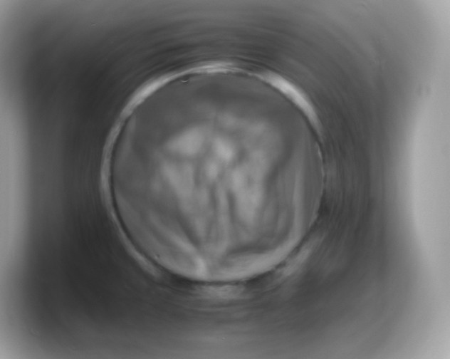 X0000103251429200809181555