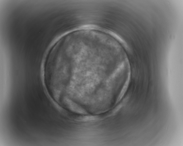 X0000103251430200809181555