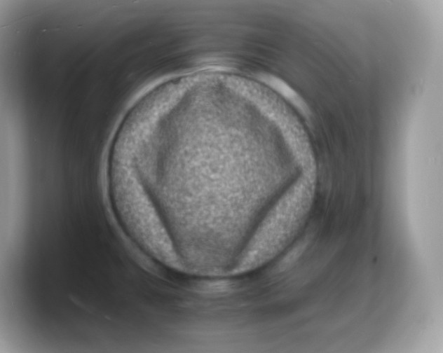 X0000103251431200809181555