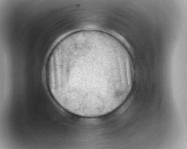 X0000103251432200809181555