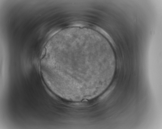 X0000103251433200809181555