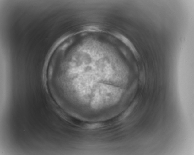X0000103251435200809181555