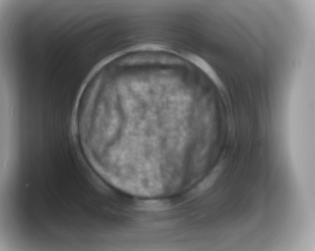 X0000103251436200809181555
