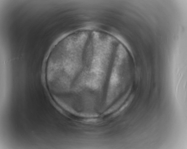 X0000103251437200809181555
