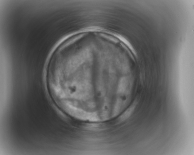 X0000103251438200809181555