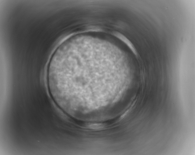 X0000103251439200809181555