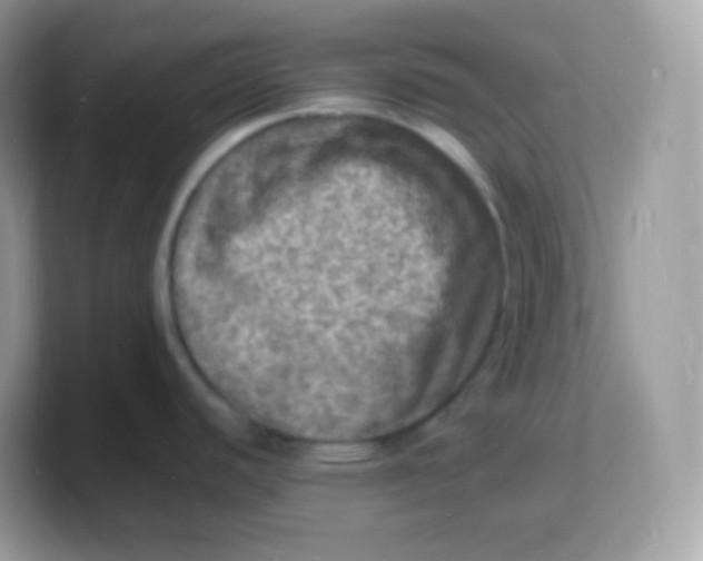 X0000103251440200809181555