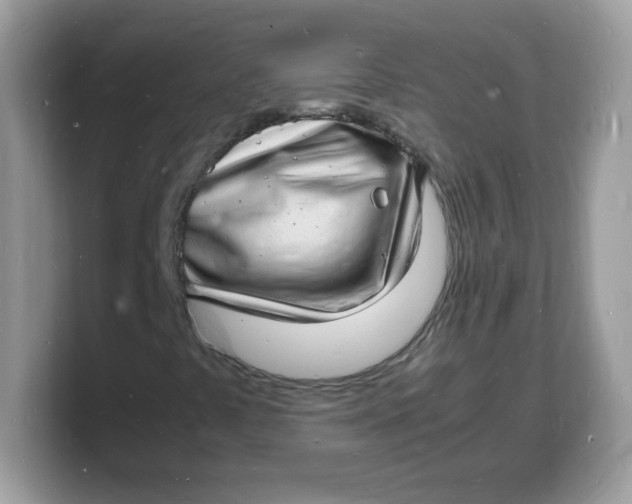 X0000103251441200809181554