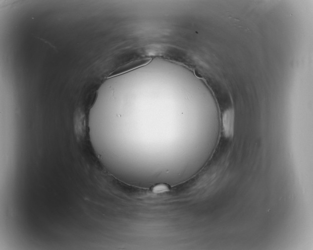 X0000103251443200809181554