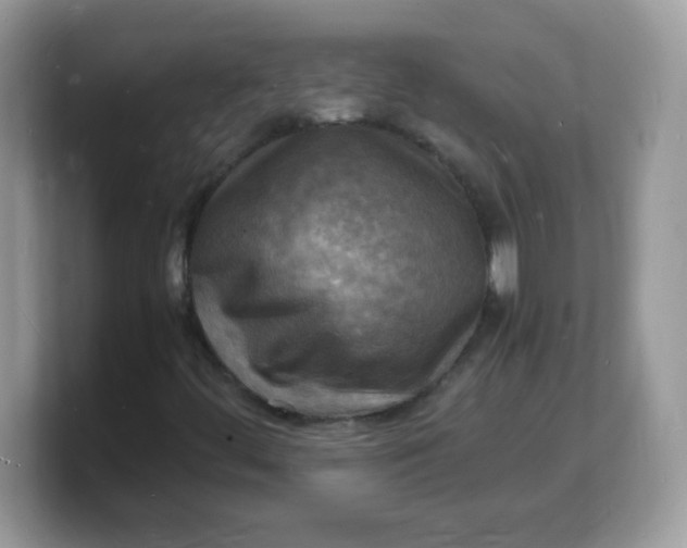 X0000103251444200809181554