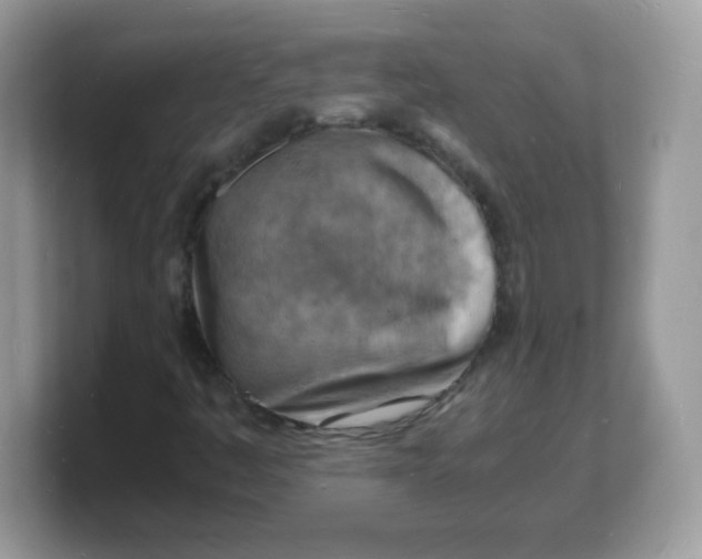 X0000103251445200809181554