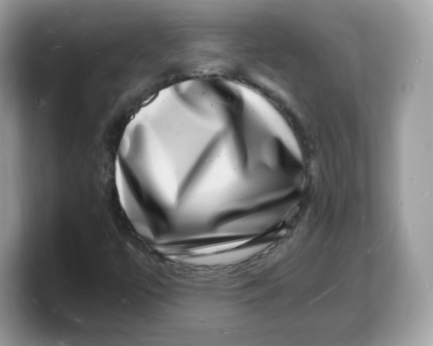 X0000103251447200809181554