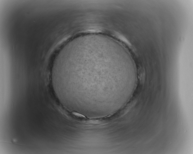 X0000103251448200809181554