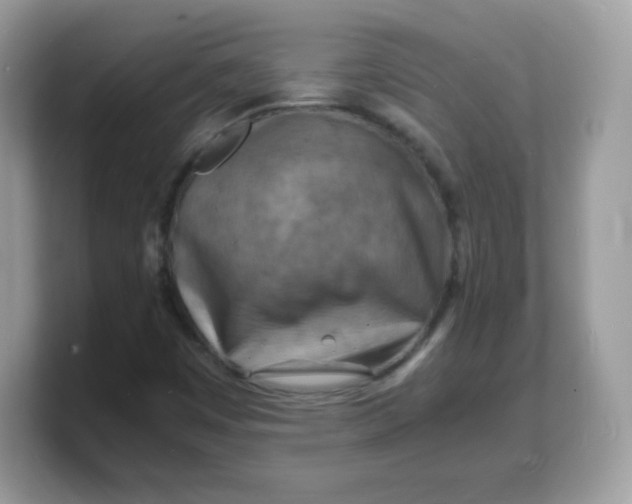 X0000103251449200809181554