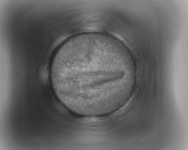 X0000103251450200809181554