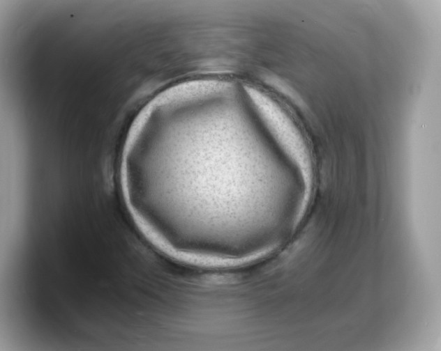 X0000103251451200809181554