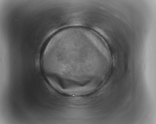 X0000103251452200809181554