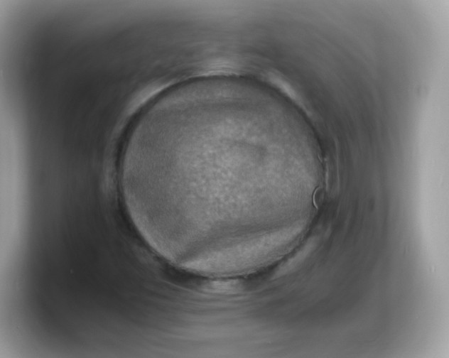X0000103251453200809181554