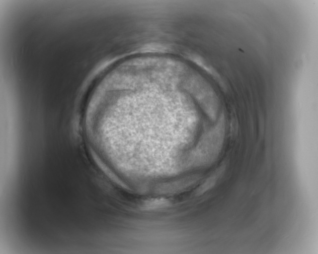 X0000103251454200809181554