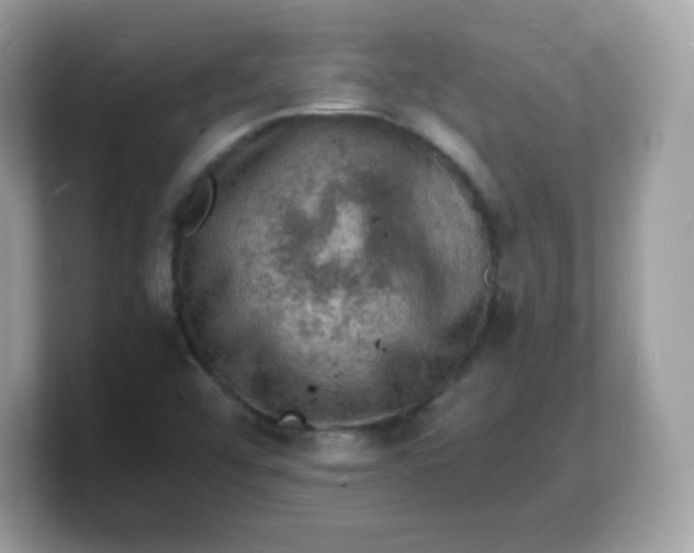 X0000103251456200809181554