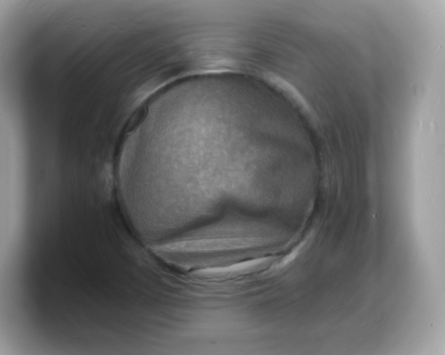 X0000103251457200809181554