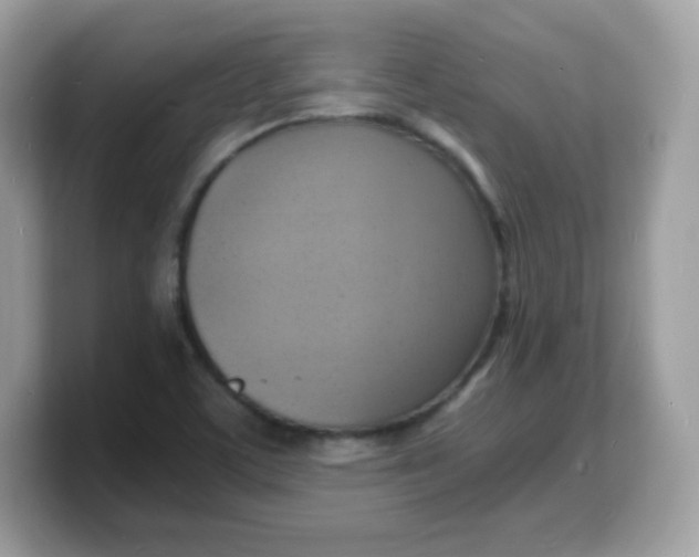 X0000103251459200809181554