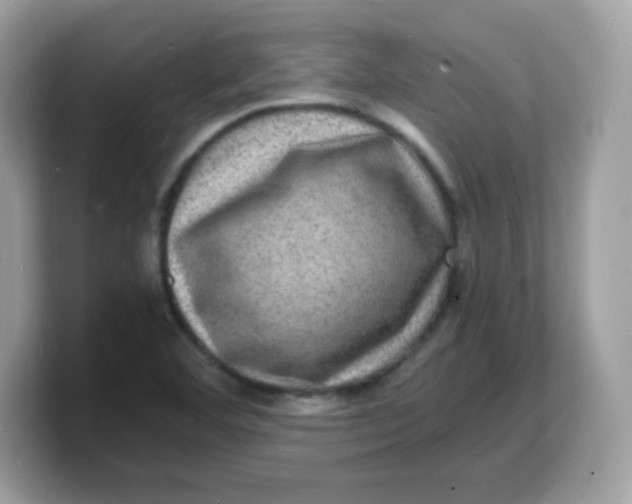 X0000103251460200809181554