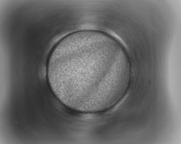 X0000103251461200809181554