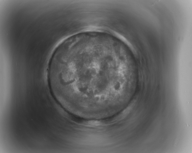 X0000103251463200809181554